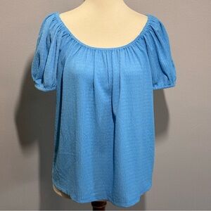 NWT Ann Taylor Blue Top